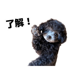 urara_20260330223731