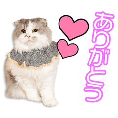 My beloved Kiki&Coco&Lulu&Vivi