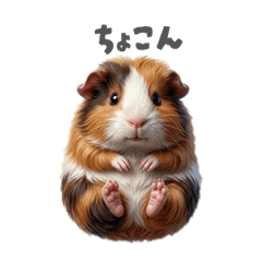 guinea pig stamps