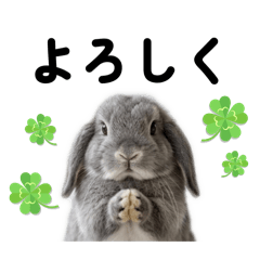 Aluvoil_20260330164833