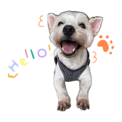 HAKAO MEAOWKAO_20260330162108