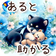 挨拶多めの黒い柴犬の日常♡❁⃘*