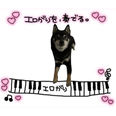 enhypenenchan_20260327223559