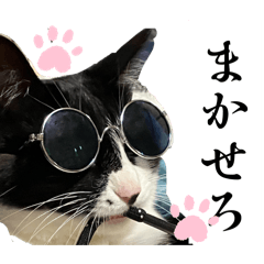 marugoro1_202603302216001003