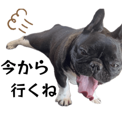 reitan,_20260330221410