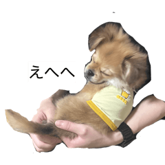 judenki.broken_20260330221448