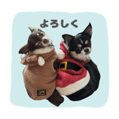 tenkuma612_20260330214136