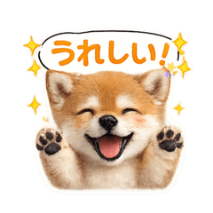 Honu Aloha!_20260330222108