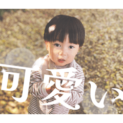 Gooooonaisan_20260330222328