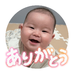 Niina_20260330222624