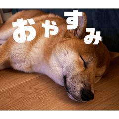 SANDIEGO_20260330232407