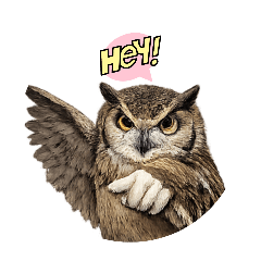 Amarinn_20260330230427