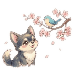 ayachan_20260330221702