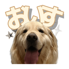 kamatani_20260330233049