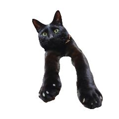 Wanish_20260330233052