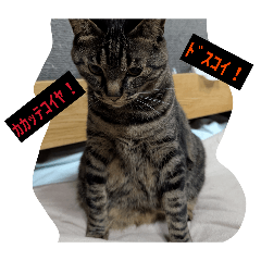 huuzukirei_20260330165735