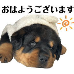 Clear_20260330170353