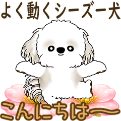 Moving Shih tzu 2026 (simple)