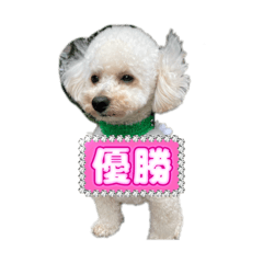 renaaa_20260330230001