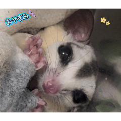 korin_20260330225916