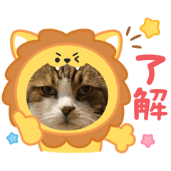 Hachiware Nyan-kun_2