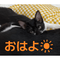 JENTSU_20260330225740