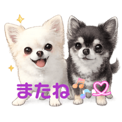 chami_20260330235832