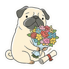 Fluffy Pug: Congratulation Stickers