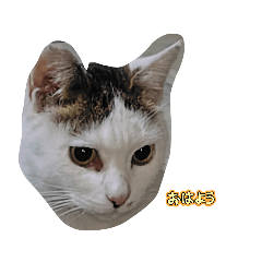 mi-ke_20260331000623