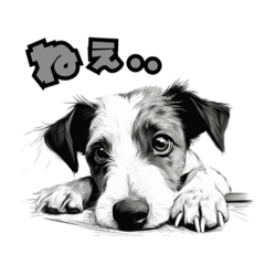 JACKWANS_20260331001341