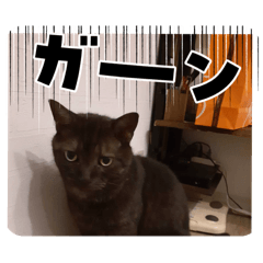 Masato_20260330222159