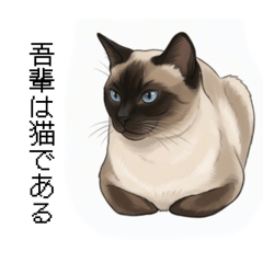 Nyanzaburo_20260331003102