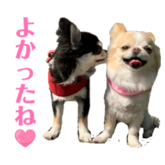 paru15_20260331003753