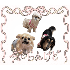 mionchu_20260330175021