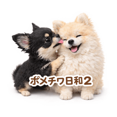 AoNEKo_20260330174713