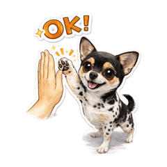 Haruka Yamamoto_20260330175224