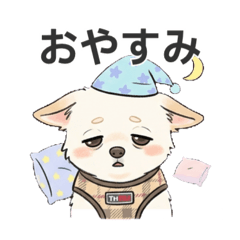 chihi_20260330180341