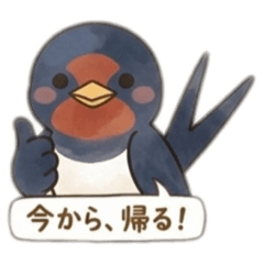 popola_20260330180234