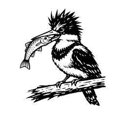 Hard-Boiled Kingfisher Manga Design