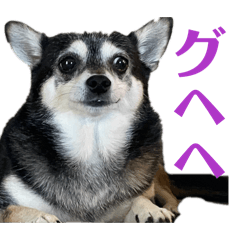 MARON_20260331012221