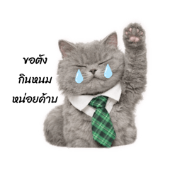 Pattanit_20260329025845