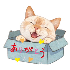 satoton_20260331082735