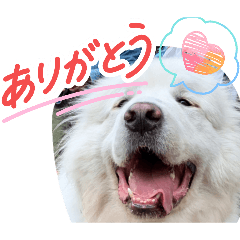 jupiter_20260331032424