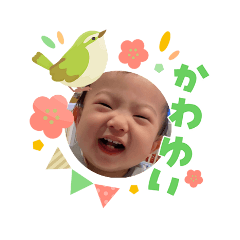 maruco1828_20260331084950