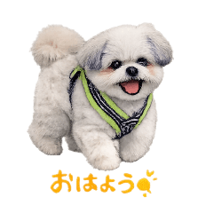 milky_20260331085657