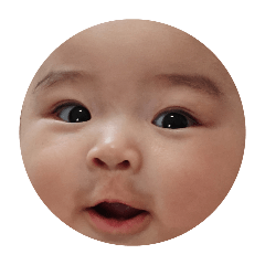 asami_20260331082643