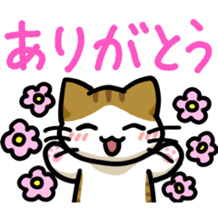 Haruneko_20260331115532