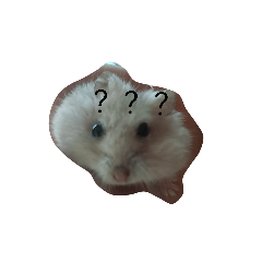 可愛治癒小貼圖