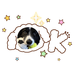 OTOHA_20260331082554