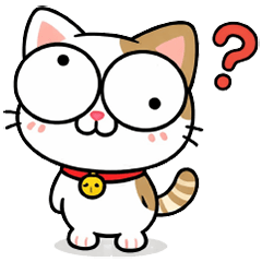 Sweet-eyed little cat (No Text)